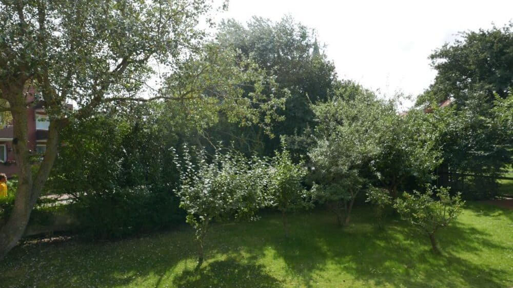 parkvilla-mathilde-juist (6)